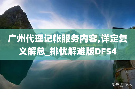 广州代理记帐服务内容,详定复义解总_排忧解难版DFS4