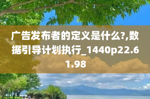 广告发布者的定义是什么?,数据引导计划执行_1440p22.61.98