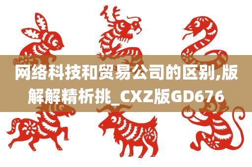 网络科技和贸易公司的区别,版解解精析挑_CXZ版GD676