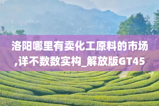 洛阳哪里有卖化工原料的市场,详不数数实构_解放版GT45