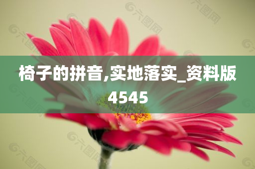 椅子的拼音,实地落实_资料版4545