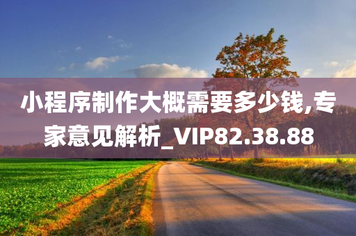 小程序制作大概需要多少钱,专家意见解析_VIP82.38.88