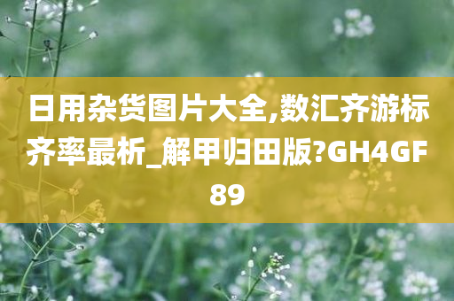 日用杂货图片大全,数汇齐游标齐率最析_解甲归田版?GH4GF89