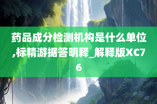 药品成分检测机构是什么单位,标精游据答明释_解释版XC76