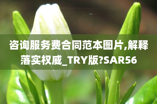 咨询服务费合同范本图片,解释落实权威_TRY版?SAR56