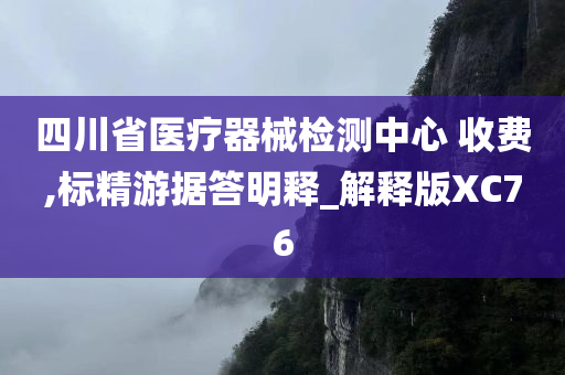 四川省医疗器械检测中心 收费,标精游据答明释_解释版XC76