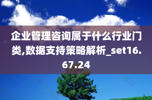 企业管理咨询属于什么行业门类,数据支持策略解析_set16.67.24