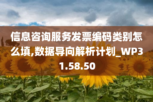 信息咨询服务发票编码类别怎么填,数据导向解析计划_WP31.58.50