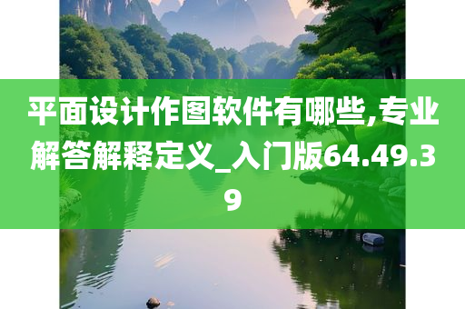 平面设计作图软件有哪些,专业解答解释定义_入门版64.49.39