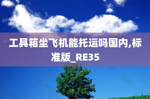 工具箱坐飞机能托运吗国内,标准版_RE35