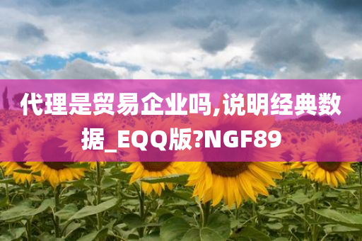 代理是贸易企业吗,说明经典数据_EQQ版?NGF89