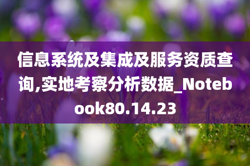 信息系统及集成及服务资质查询,实地考察分析数据_Notebook80.14.23