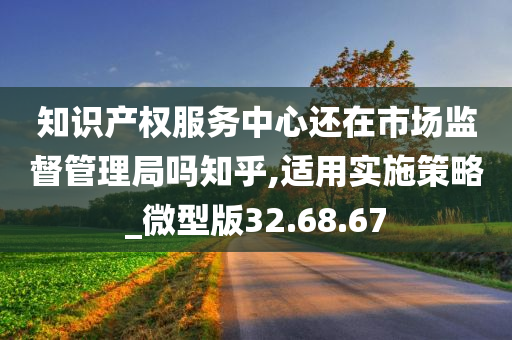 知识产权服务中心还在市场监督管理局吗知乎,适用实施策略_微型版32.68.67