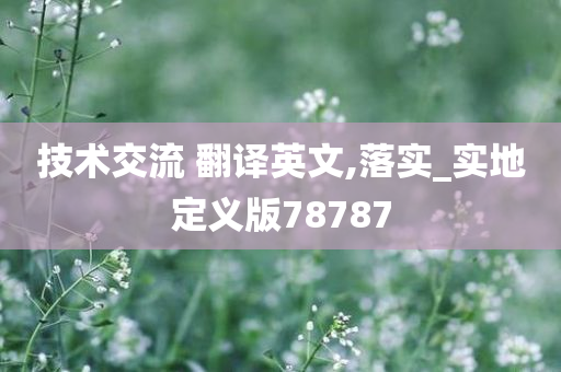 技术交流 翻译英文,落实_实地定义版78787