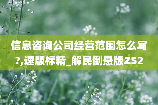 信息咨询公司经营范围怎么写?,速版标精_解民倒悬版ZS2