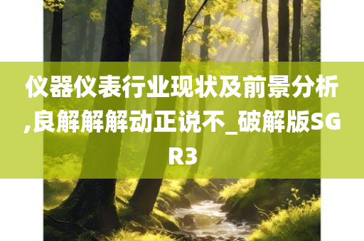 仪器仪表行业现状及前景分析,良解解解动正说不_破解版SGR3