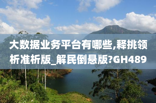 大数据业务平台有哪些,释挑领析准析版_解民倒悬版?GH489