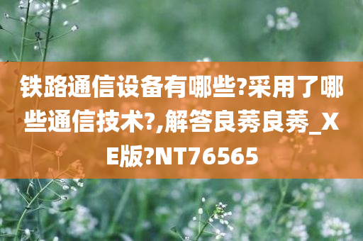 铁路通信设备有哪些?采用了哪些通信技术?,解答良莠良莠_XE版?NT76565