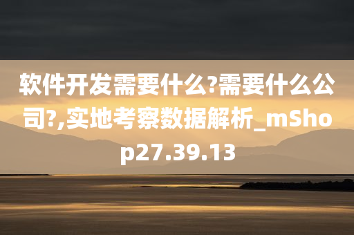 软件开发需要什么?需要什么公司?,实地考察数据解析_mShop27.39.13