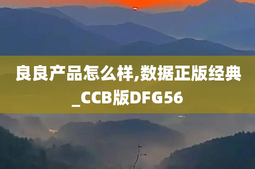 良良产品怎么样,数据正版经典_CCB版DFG56