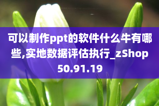 可以制作ppt的软件什么牛有哪些,实地数据评估执行_zShop50.91.19