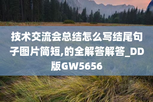 技术交流会总结怎么写结尾句子图片简短,的全解答解答_DD版GW5656