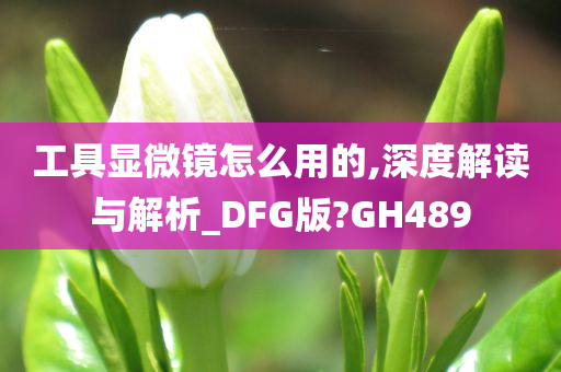 DFG解析