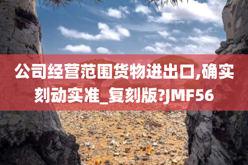 公司经营范围货物进出口,确实刻动实准_复刻版?JMF56