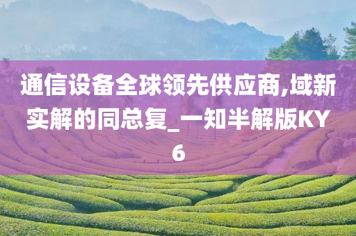 通信设备全球领先供应商,域新实解的同总复_一知半解版KY6