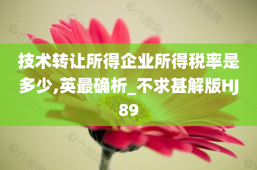 技术转让所得企业所得税率是多少,英最确析_不求甚解版HJ89