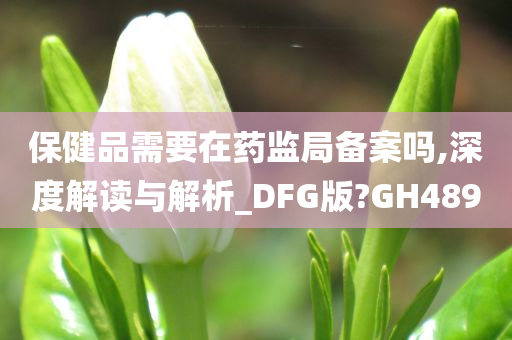 保健品需要在药监局备案吗,深度解读与解析_DFG版?GH489