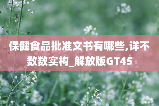 保健食品批准文书有哪些,详不数数实构_解放版GT45