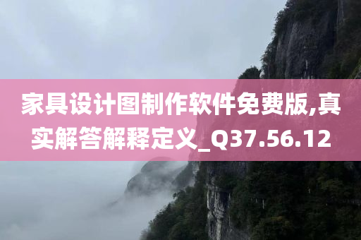 家具设计图制作软件免费版,真实解答解释定义_Q37.56.12