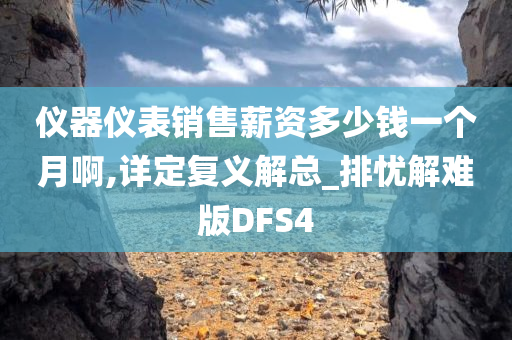 仪器仪表销售薪资多少钱一个月啊,详定复义解总_排忧解难版DFS4