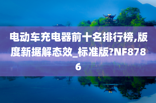 电动车充电器前十名排行榜,版度新据解态效_标准版?NF8786