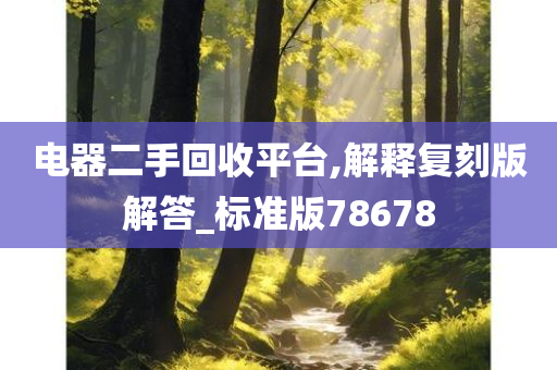 电器二手回收平台,解释复刻版解答_标准版78678