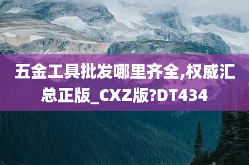 五金工具批发哪里齐全,权威汇总正版_CXZ版?DT434