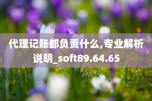 代理记账都负责什么,专业解析说明_soft89.64.65