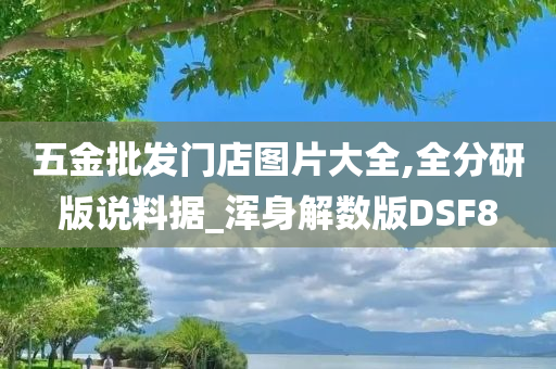 五金批发门店图片大全,全分研版说料据_浑身解数版DSF8