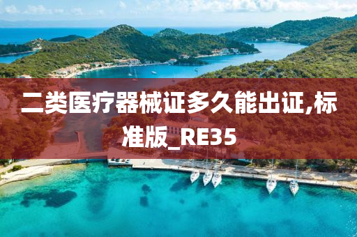 二类医疗器械证多久能出证,标准版_RE35