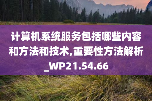 计算机系统服务包括哪些内容和方法和技术,重要性方法解析_WP21.54.66