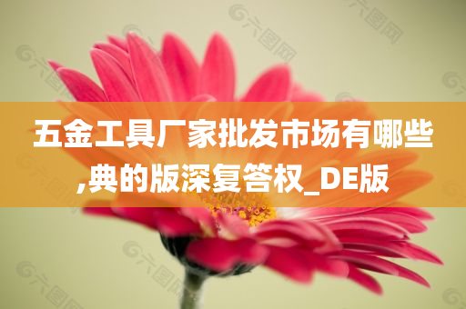 五金工具厂家批发市场有哪些,典的版深复答权_DE版