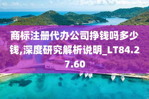 商标注册代办公司挣钱吗多少钱,深度研究解析说明_LT84.27.60