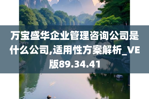 万宝盛华企业管理咨询公司是什么公司,适用性方案解析_VE版89.34.41