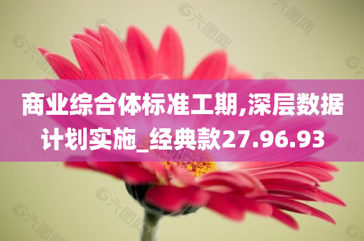 商业综合体标准工期,深层数据计划实施_经典款27.96.93