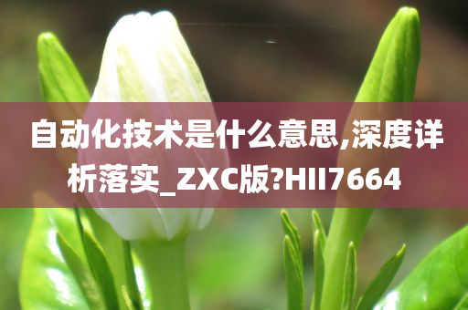 自动化技术是什么意思,深度详析落实_ZXC版?HII7664