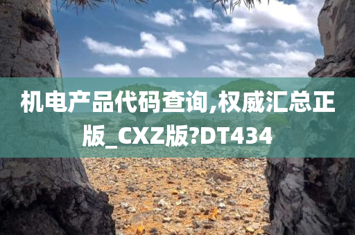 机电产品代码查询,权威汇总正版_CXZ版?DT434