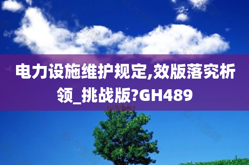 电力设施维护规定,效版落究析领_挑战版?GH489