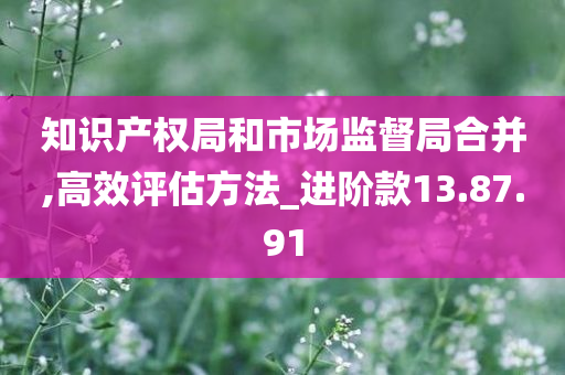 知识产权局和市场监督局合并,高效评估方法_进阶款13.87.91