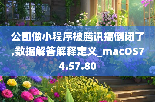 公司做小程序被腾讯搞倒闭了,数据解答解释定义_macOS74.57.80